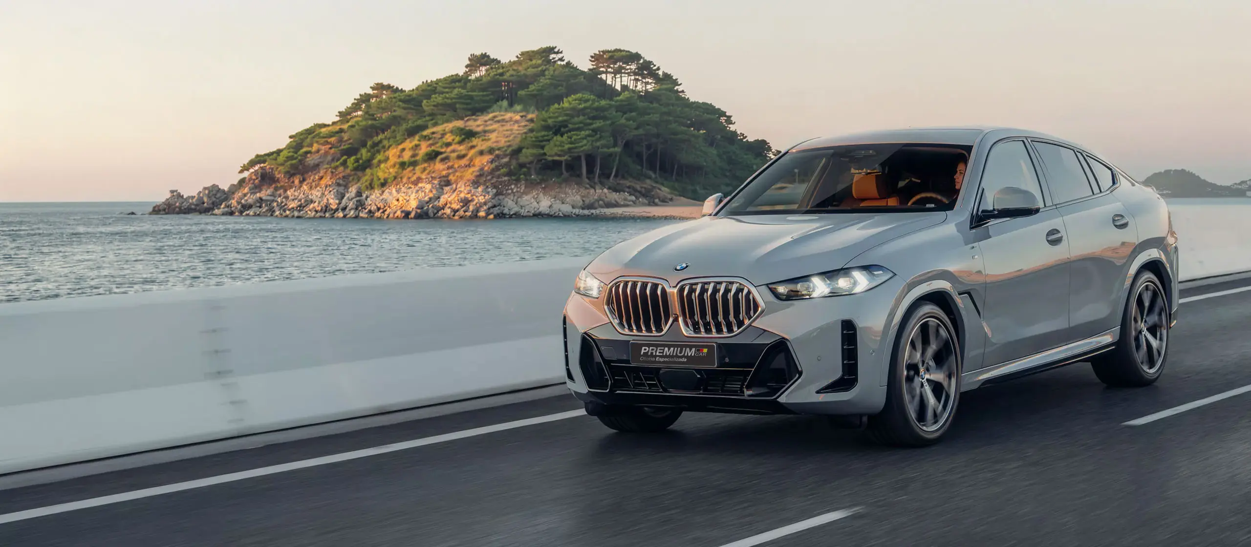 Oficina especializada BMW Porto Alegre, Premium Car